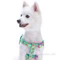 Paisley Flower Green Printing Neoprene Padded Dog Harness